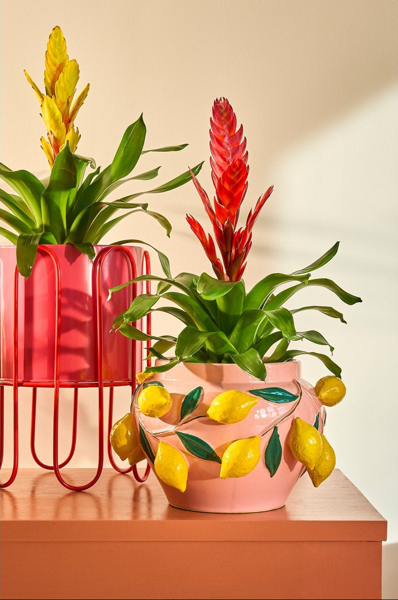 Bloempot Dione op Standaard - set van 2