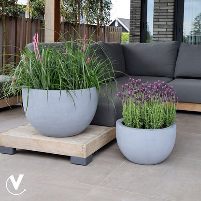 Plantenpot Louisiana