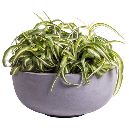 Plantenpot Ducos - Klein (set van 2 stuks)