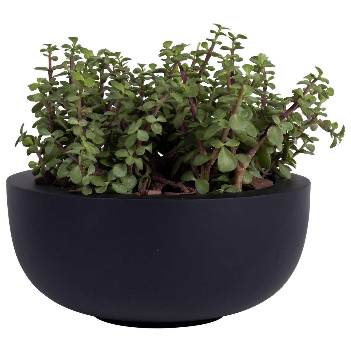 Plantenpot Ducos - Klein (set van 2 stuks)