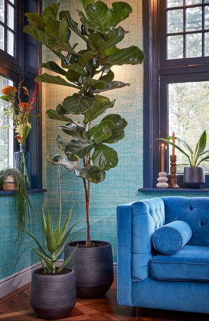 Kandelaar Philo Mangohout