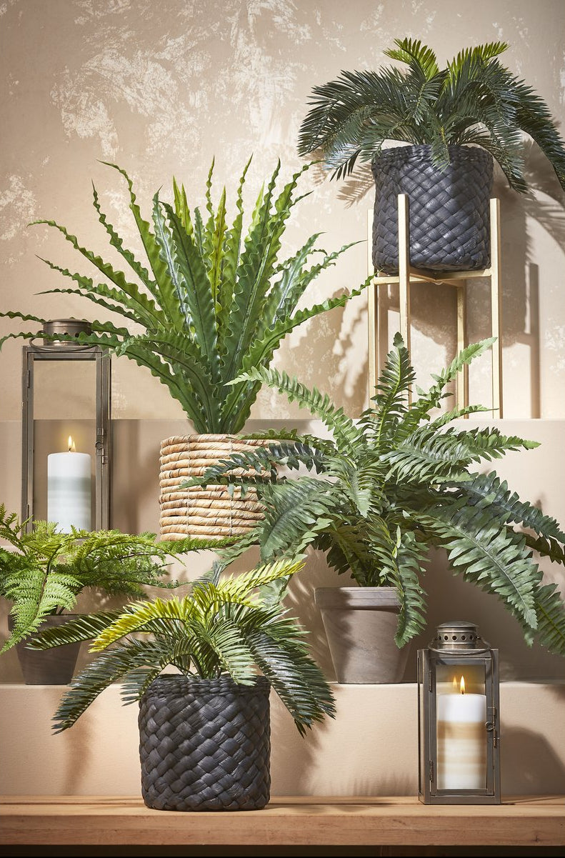 Arzilla Lantaarn Goud