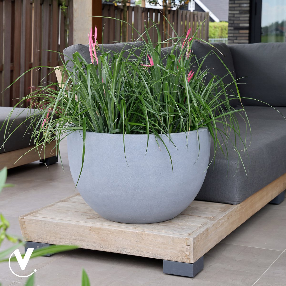 Plantenpot Louisiana