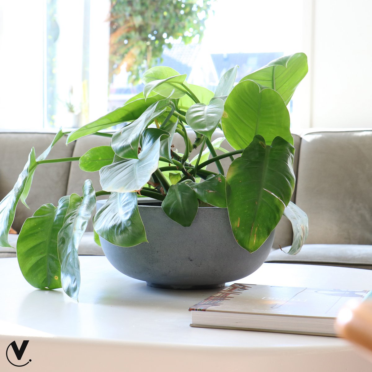 Plantenpot Ducos - Klein (set van 2 stuks)