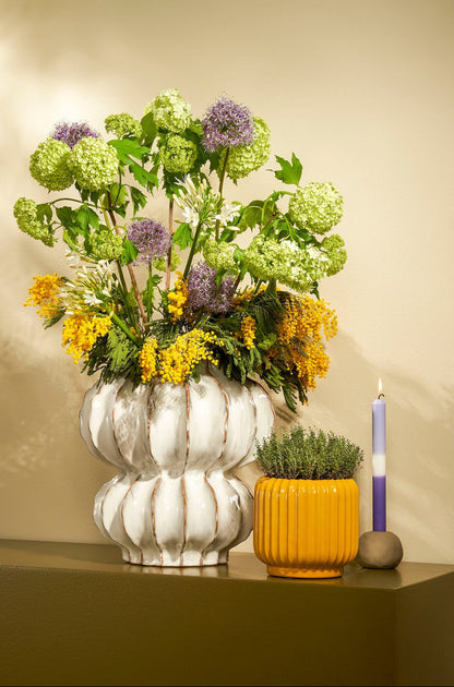 Vaas Altea Off White