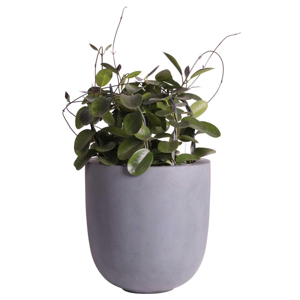 Plantenpot Ducos